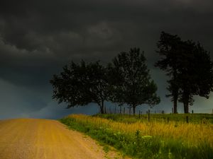 Preview wallpaper trees, road, field, clouds, nature