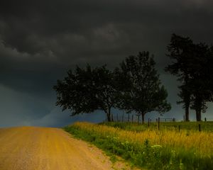 Preview wallpaper trees, road, field, clouds, nature