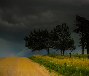 Preview wallpaper trees, road, field, clouds, nature