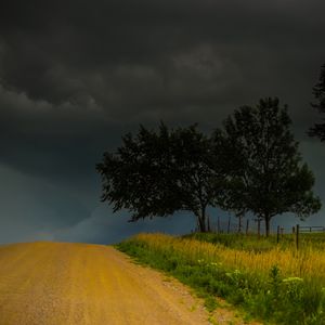 Preview wallpaper trees, road, field, clouds, nature