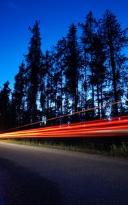 Preview wallpaper trees, road, long exposure, night