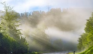 Preview wallpaper trees, road, marking, rays