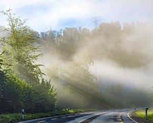 Preview wallpaper trees, road, marking, rays
