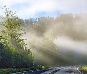 Preview wallpaper trees, road, marking, rays