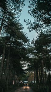Preview wallpaper trees, road, sky, car