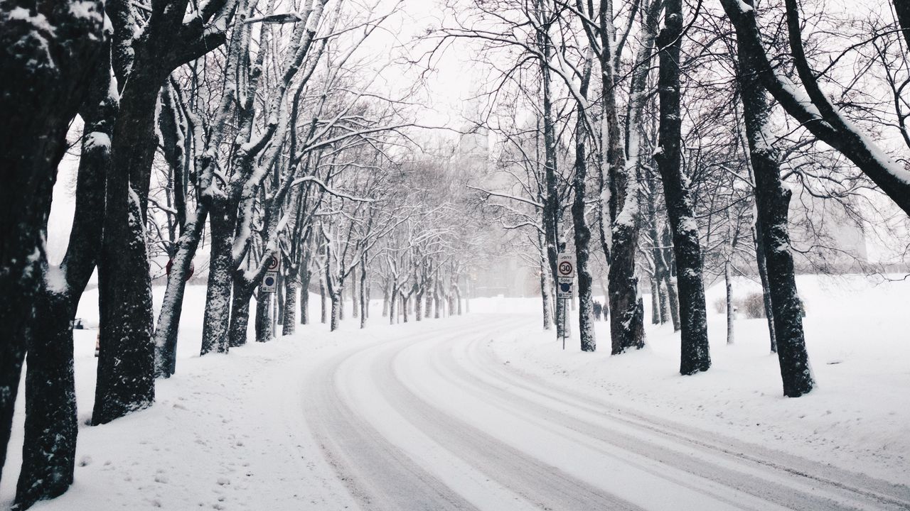 Wallpaper trees, road, turn, winter, snow