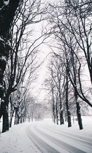 Preview wallpaper trees, road, turn, winter, snow