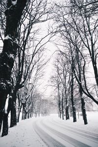 Preview wallpaper trees, road, turn, winter, snow