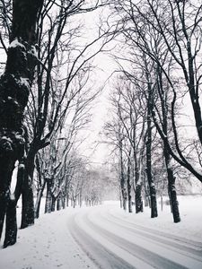 Preview wallpaper trees, road, turn, winter, snow