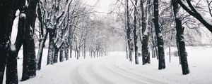 Preview wallpaper trees, road, turn, winter, snow