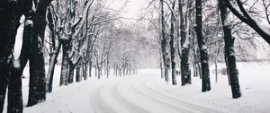 Preview wallpaper trees, road, turn, winter, snow