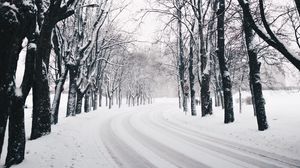 Preview wallpaper trees, road, turn, winter, snow