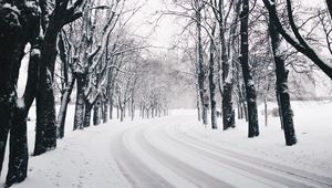 Preview wallpaper trees, road, turn, winter, snow