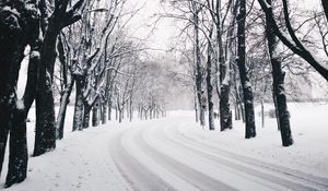 Preview wallpaper trees, road, turn, winter, snow