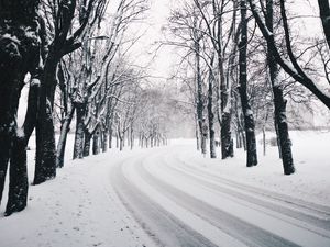 Preview wallpaper trees, road, turn, winter, snow