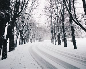 Preview wallpaper trees, road, turn, winter, snow