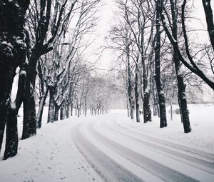 Preview wallpaper trees, road, turn, winter, snow