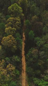 Preview wallpaper trees, road, view from above