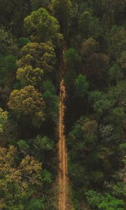 Preview wallpaper trees, road, view from above