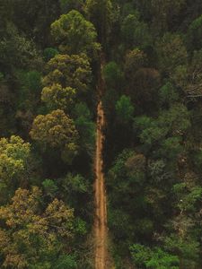 Preview wallpaper trees, road, view from above