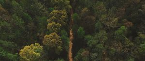 Preview wallpaper trees, road, view from above