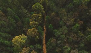 Preview wallpaper trees, road, view from above