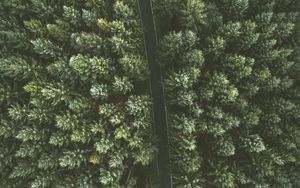 Preview wallpaper trees, road, view from above