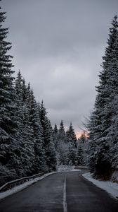 Preview wallpaper trees, road, winter, snow