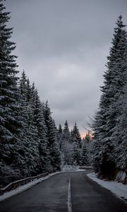 Preview wallpaper trees, road, winter, snow