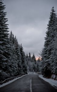 Preview wallpaper trees, road, winter, snow