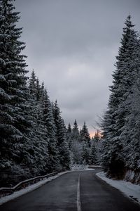 Preview wallpaper trees, road, winter, snow
