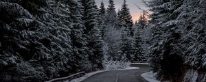 Preview wallpaper trees, road, winter, snow