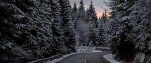 Preview wallpaper trees, road, winter, snow