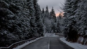Preview wallpaper trees, road, winter, snow