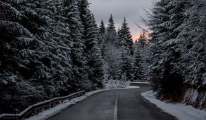 Preview wallpaper trees, road, winter, snow