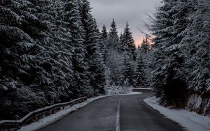 Preview wallpaper trees, road, winter, snow