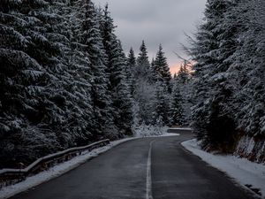 Preview wallpaper trees, road, winter, snow