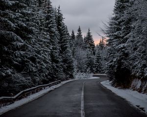 Preview wallpaper trees, road, winter, snow
