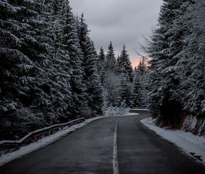Preview wallpaper trees, road, winter, snow