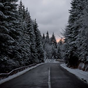 Preview wallpaper trees, road, winter, snow