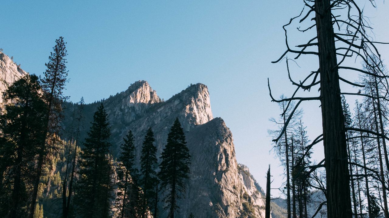 Wallpaper trees, rock, mountain, nature