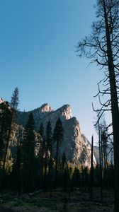 Preview wallpaper trees, rock, mountain, nature