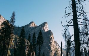 Preview wallpaper trees, rock, mountain, nature