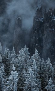 Preview wallpaper trees, rocks, fog, pines, landscape