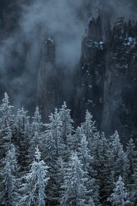 Preview wallpaper trees, rocks, fog, pines, landscape