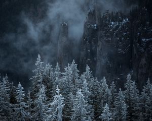 Preview wallpaper trees, rocks, fog, pines, landscape