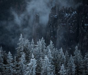 Preview wallpaper trees, rocks, fog, pines, landscape