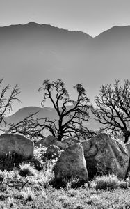 Preview wallpaper trees, rocks, mountains, fog, bw, nature