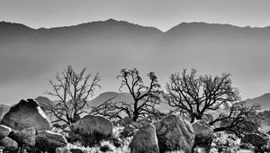 Preview wallpaper trees, rocks, mountains, fog, bw, nature