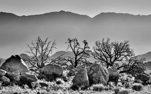 Preview wallpaper trees, rocks, mountains, fog, bw, nature